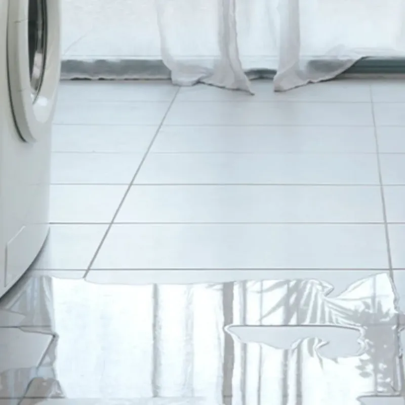 Appliance Leak Cleanup in Yellville, AR