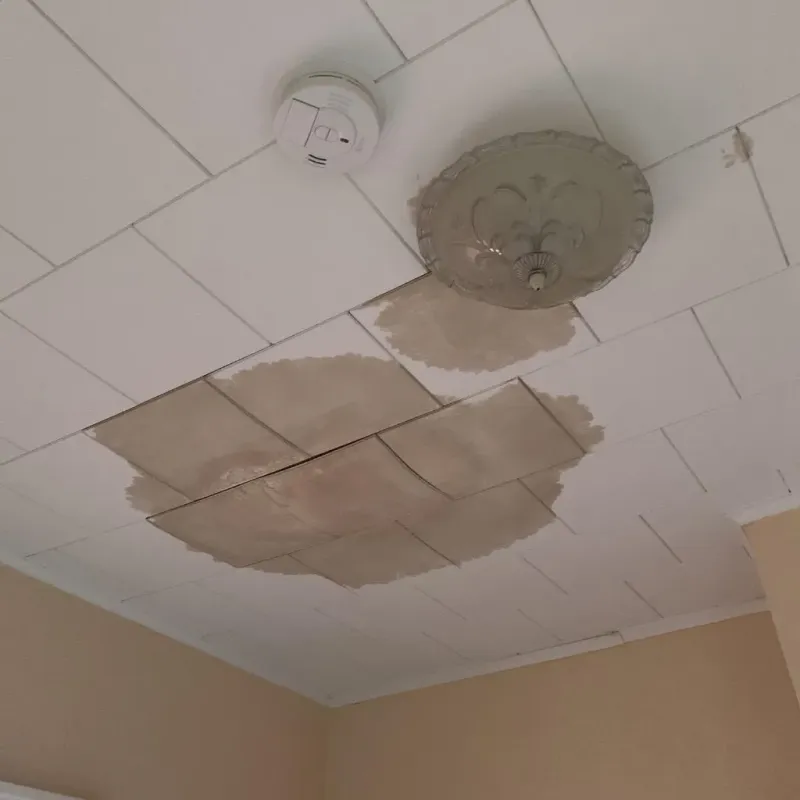 Ceiling Water Damage Repair in Yellville, AR