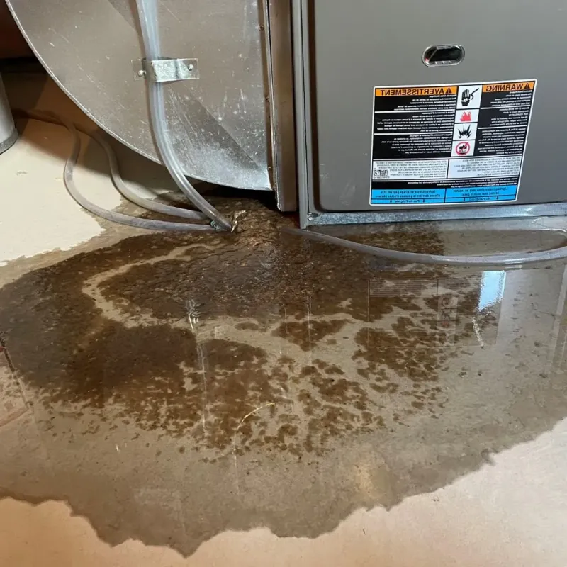 Pipe Burst and Leak Restoration in Yellville, AR
