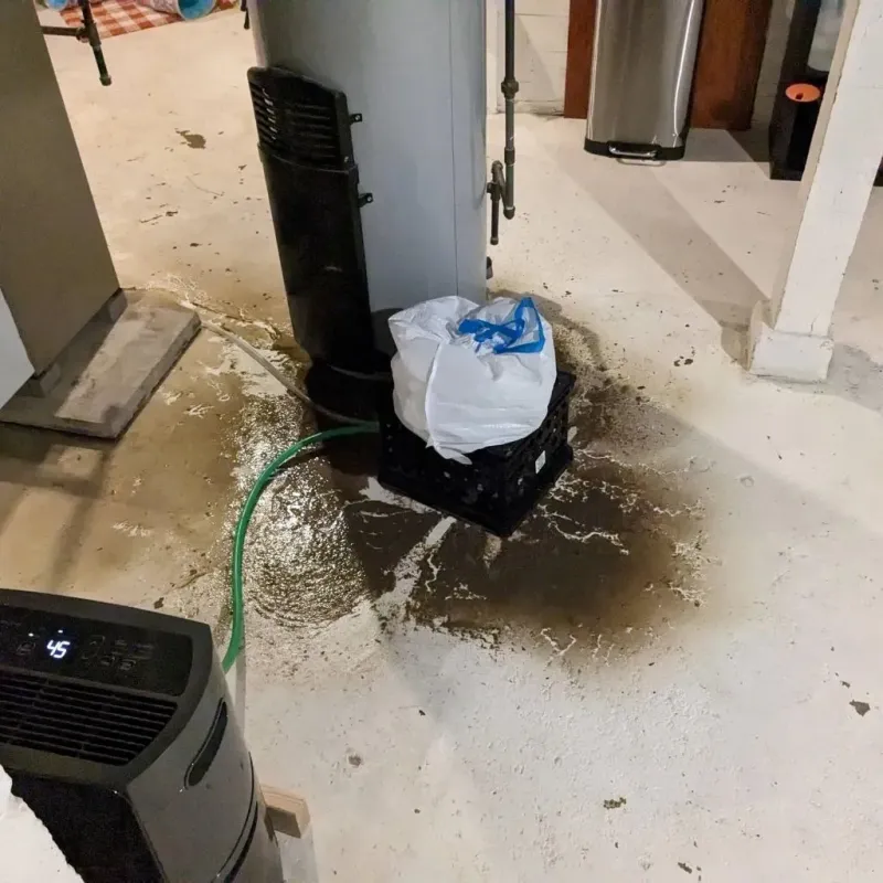 Sewage Backup Cleanup Service in Yellville, AR